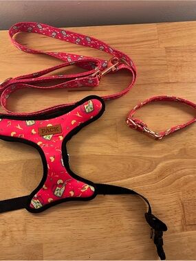Hot Pink Lemonade Patterned Dog Harness, Leash & Collar Set